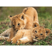 Пъзел лентикулярен 3D LION CUBS - 63 елемента