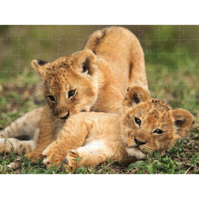 Пъзел лентикулярен 3D LION CUBS - 63 елемента