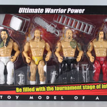 Ринг и кечисти