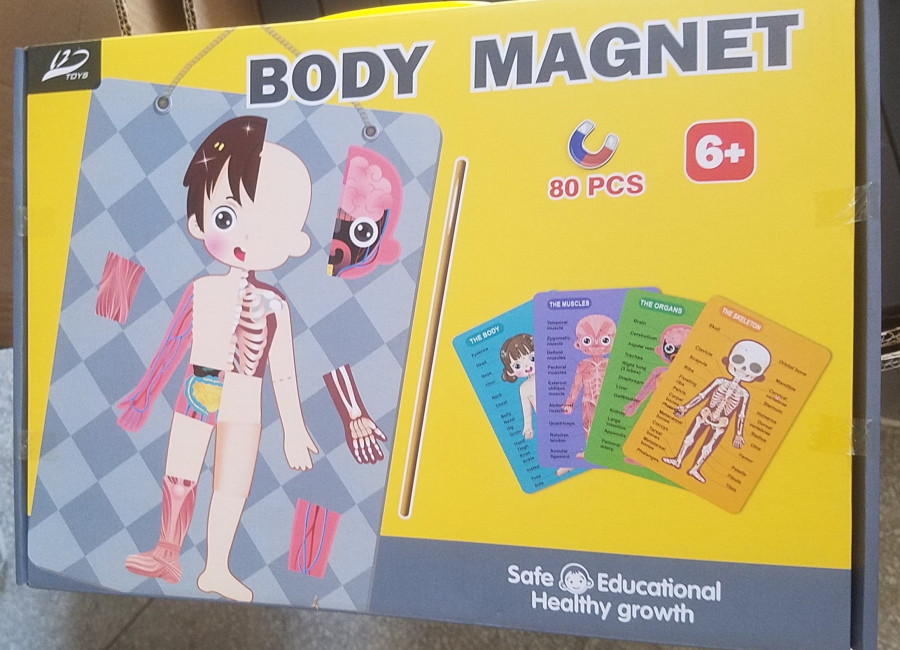 Магнитна игра Human Body