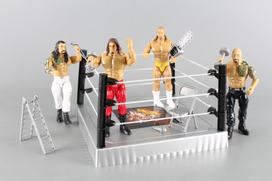 Ринг и кечисти