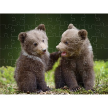 Пъзел лентикулярен 3D BEAR CUBS - 63 елемента
