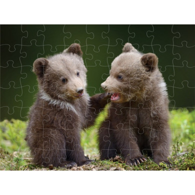 Пъзел лентикулярен 3D BEAR CUBS - 63 елемента